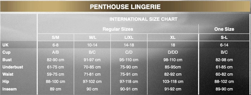 Penthouse - Bomb Squad Criss Cross Suspender Bodystocking Costume