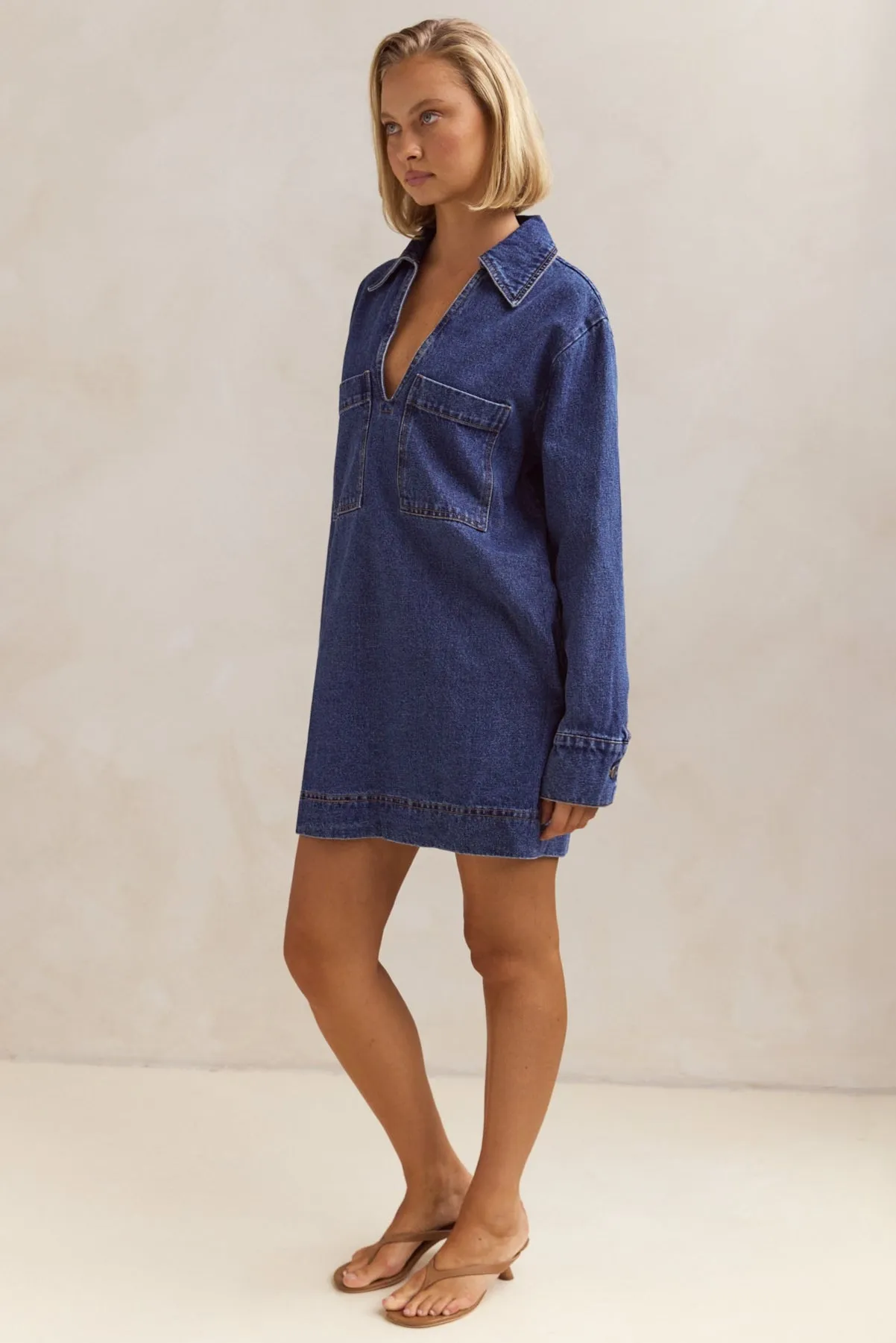 Tara Long Sleeve Dress (Blue)