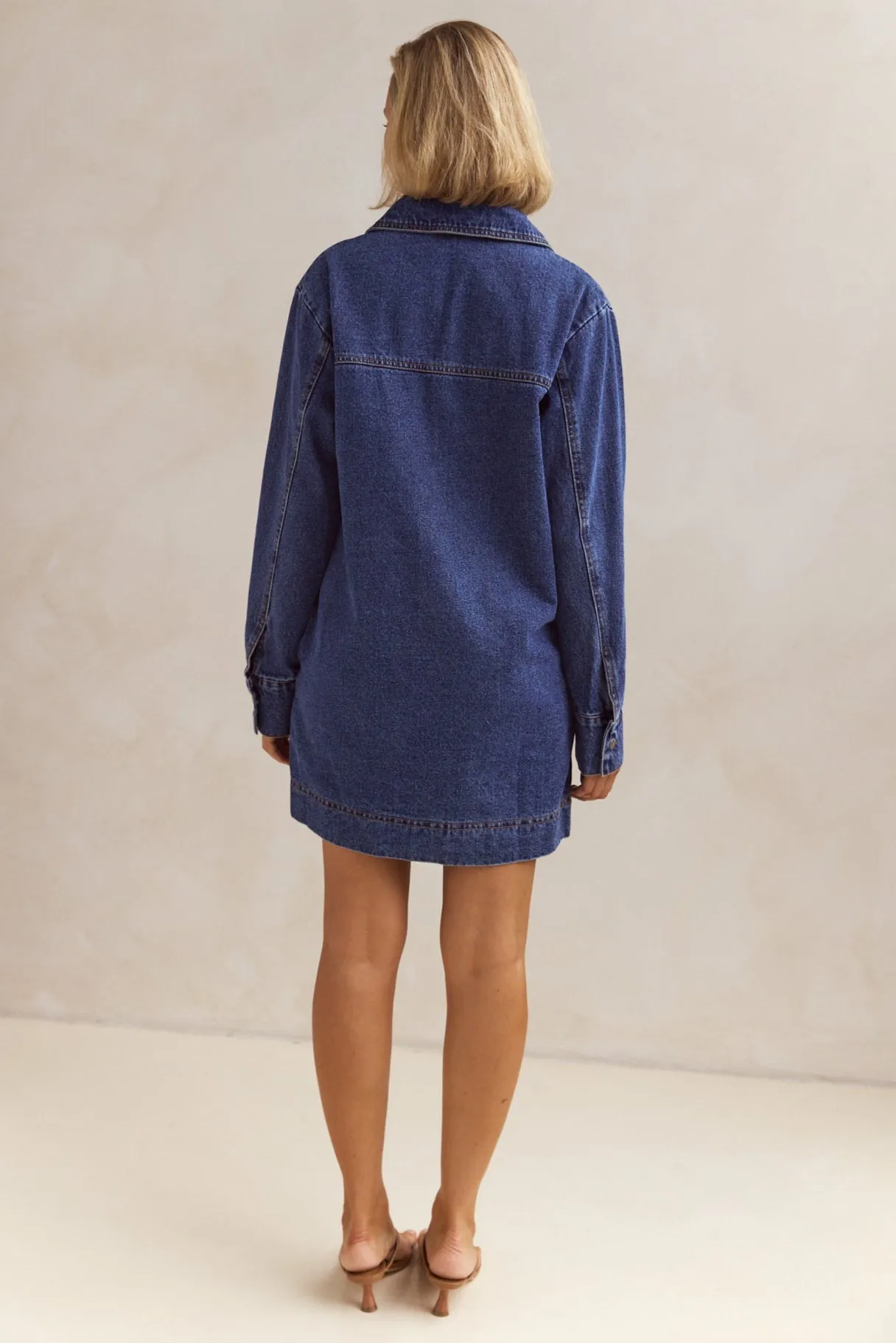 Tara Long Sleeve Dress (Blue)