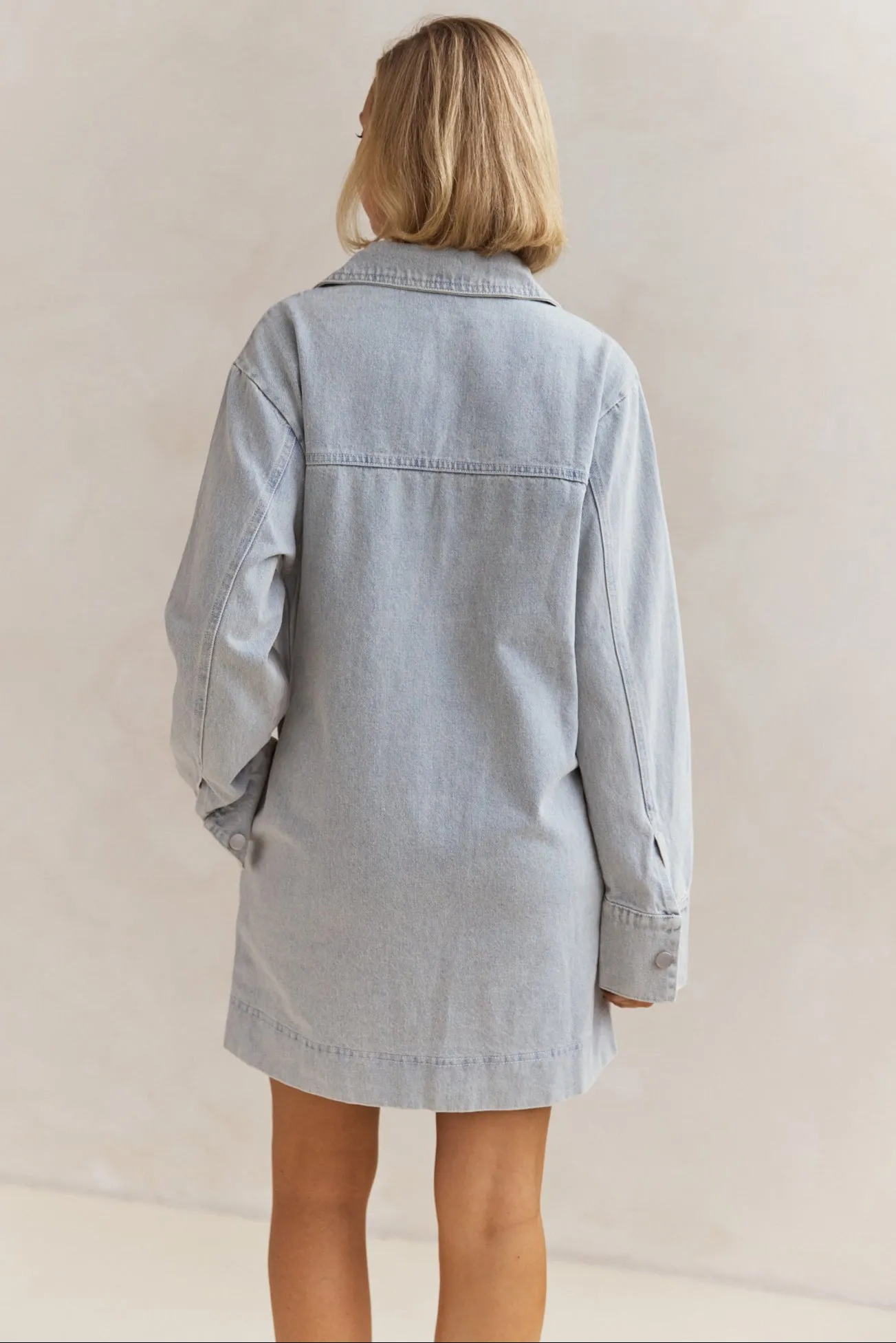Tara Long Sleeve Dress (Light Blue)
